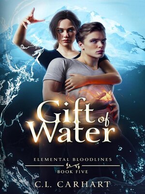 cover image of Gift of Water